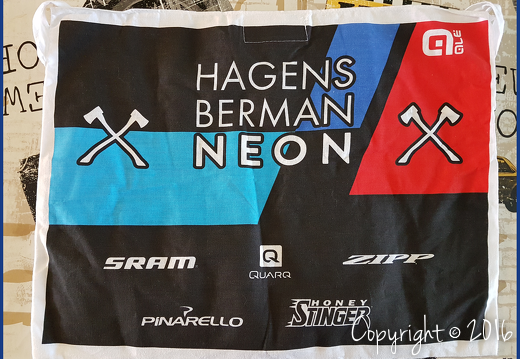 HAGENS BERMAN AXEON - 2019 (PCT)
