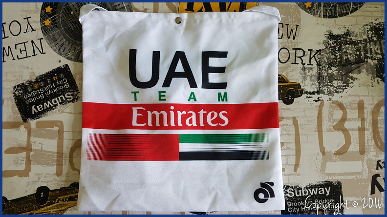 UAE TEAM EMIRATES - 2019 (WTT).png