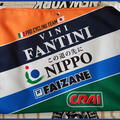 NIPPO - VINI FANTINI - FAIZANE' - 2019 (PCT).png