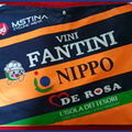 NIPPO - VINI FANTINI - 2016 (PCT).jpeg