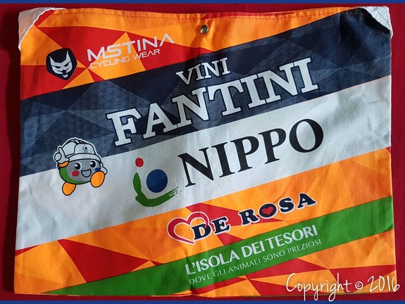 NIPPO - VINI FANTINI - 2017 (PCT)