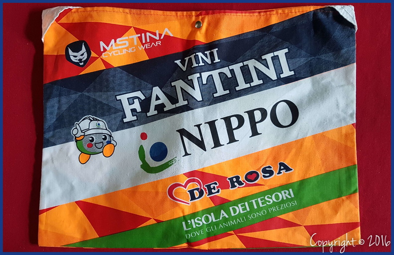 NIPPO - VINI FANTINI - 2017 (PCT).jpeg