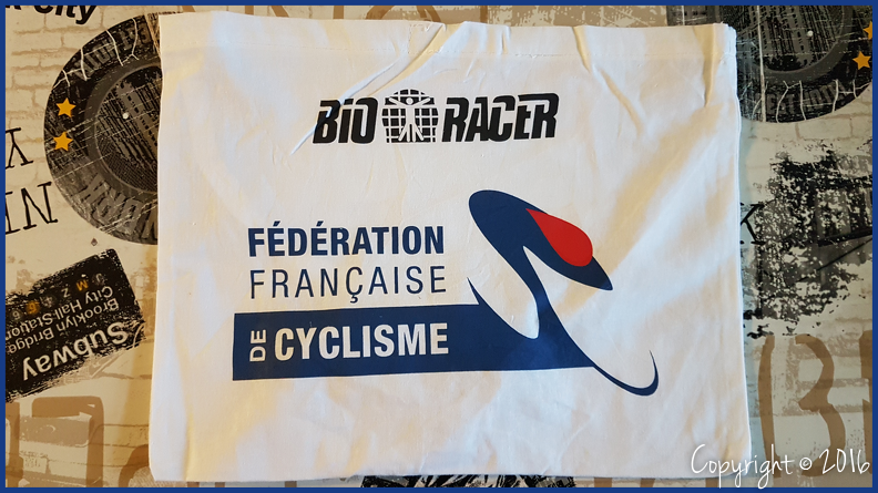 FEDERATION FRANCAISE DE CYCLISME - 2010.png