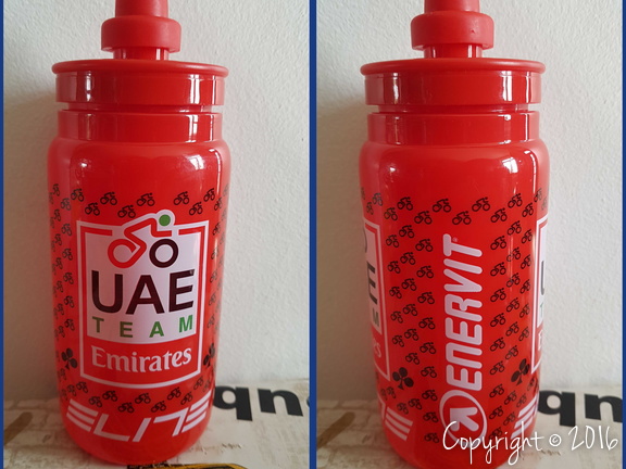 UAE TEAM EMIRATES (WTT) - 2020