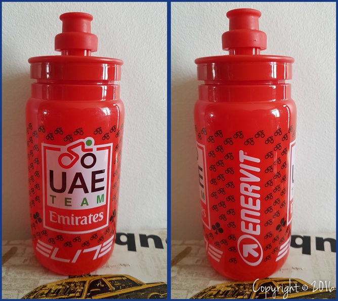 UAE TEAM EMIRATES (WTT) - 2020.jpeg