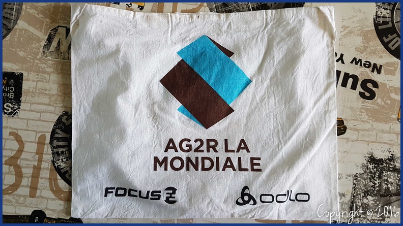 AG2R LA MONDIALE (PRO) - 2013.jpeg