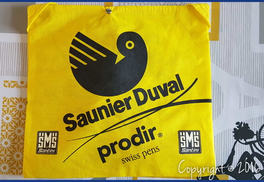SAUNIER DUVAL - PRODIR (PRO) - 2006