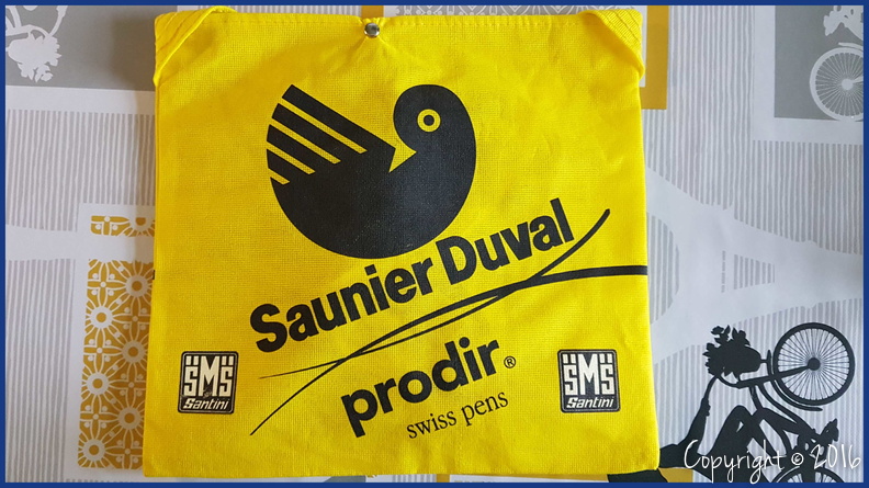 SAUNIER DUVAL - PRODIR (PRO) - 2006.jpeg
