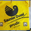 SAUNIER DUVAL - PRODIR (PRO) - 2006.jpeg