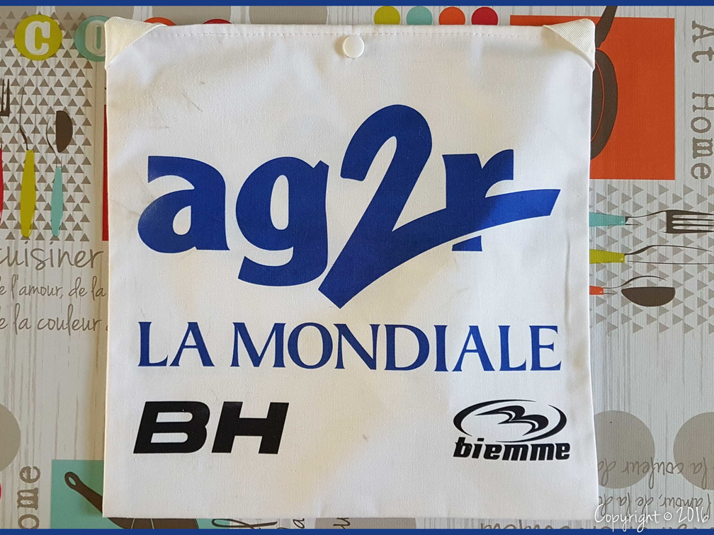 AG2R LA MONDIALE (PRO) - 2008