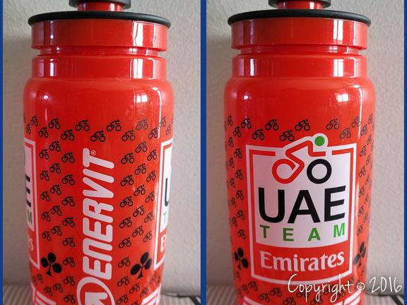 UAE TEAM EMIRATES (WTT) - 2022