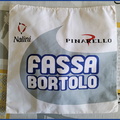 FASSA BORTOLO (GSI) - 2000
