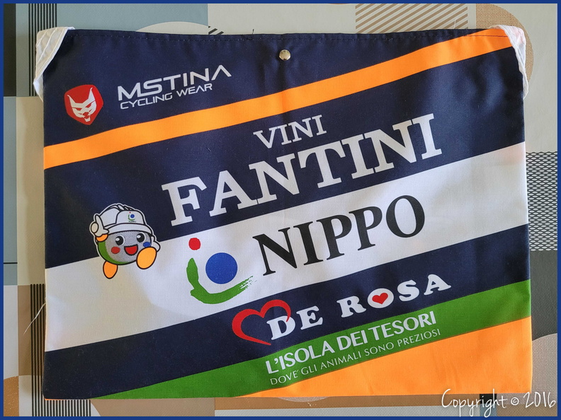 NIPPO - VINI FANTINI (PCT) - V2 - 2016