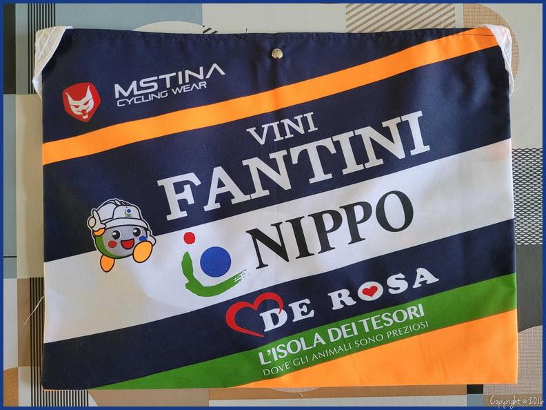 NIPPO - VINI FANTINI (PCT) - V2 - 2016.jpeg