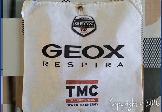 GEOX-TMC (PCT) - 2011
