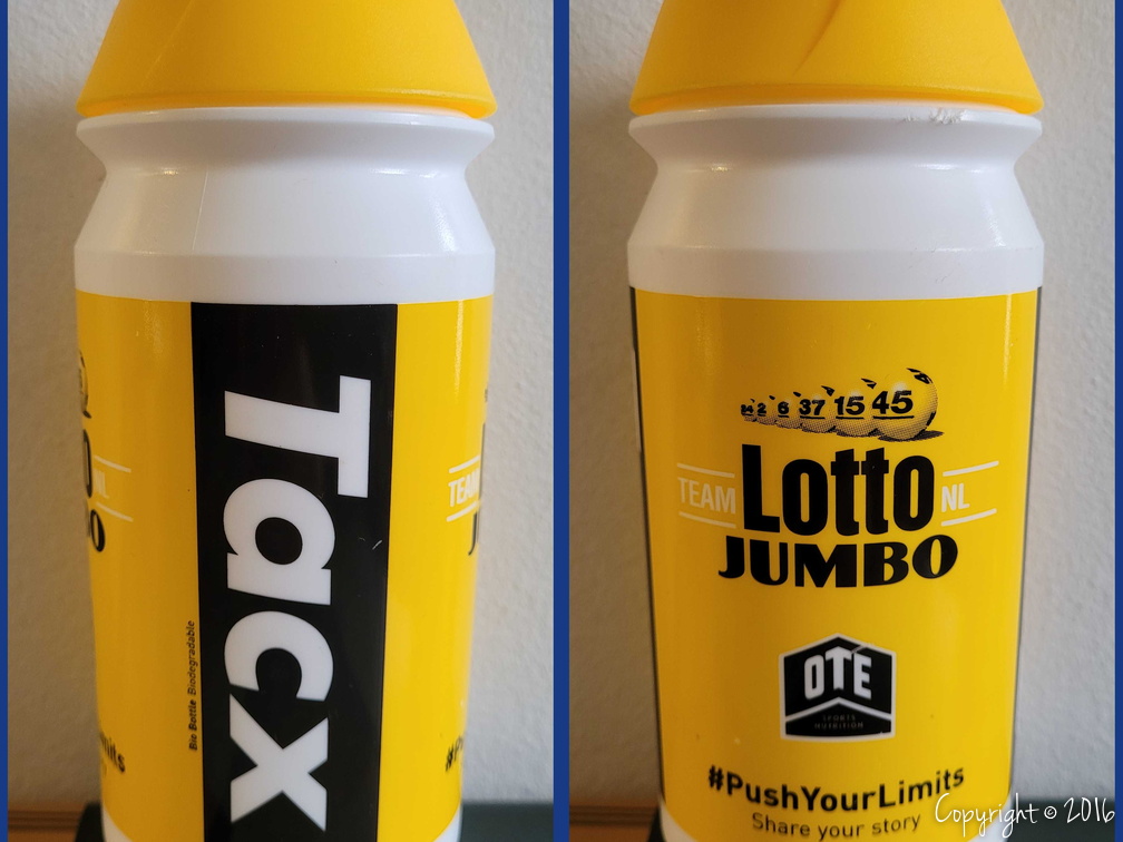 TEAM LOTTO NL - JUMBO (WTT) - 2016