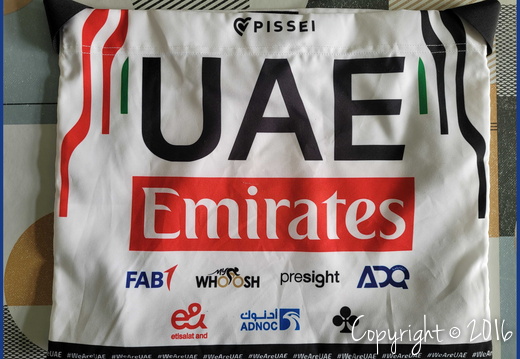 UAE TEAM EMIRATES (WTT) - 2024
