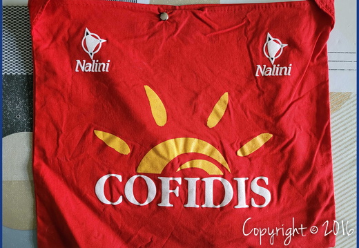 COFIDIS, LE CREDIT PAR TELEPHONE (PRO) - 2005
