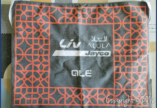 LIV-ALULA-JAYCO (WTW) - TOUR DE FRANCE - 2024