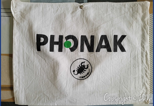 PHONAK HEARING SYSTEMS (GSII) - 2000